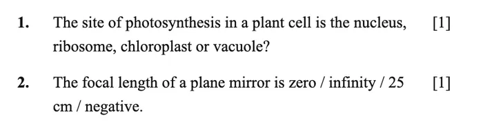 Two MCQs with the four options run into the question sentence
